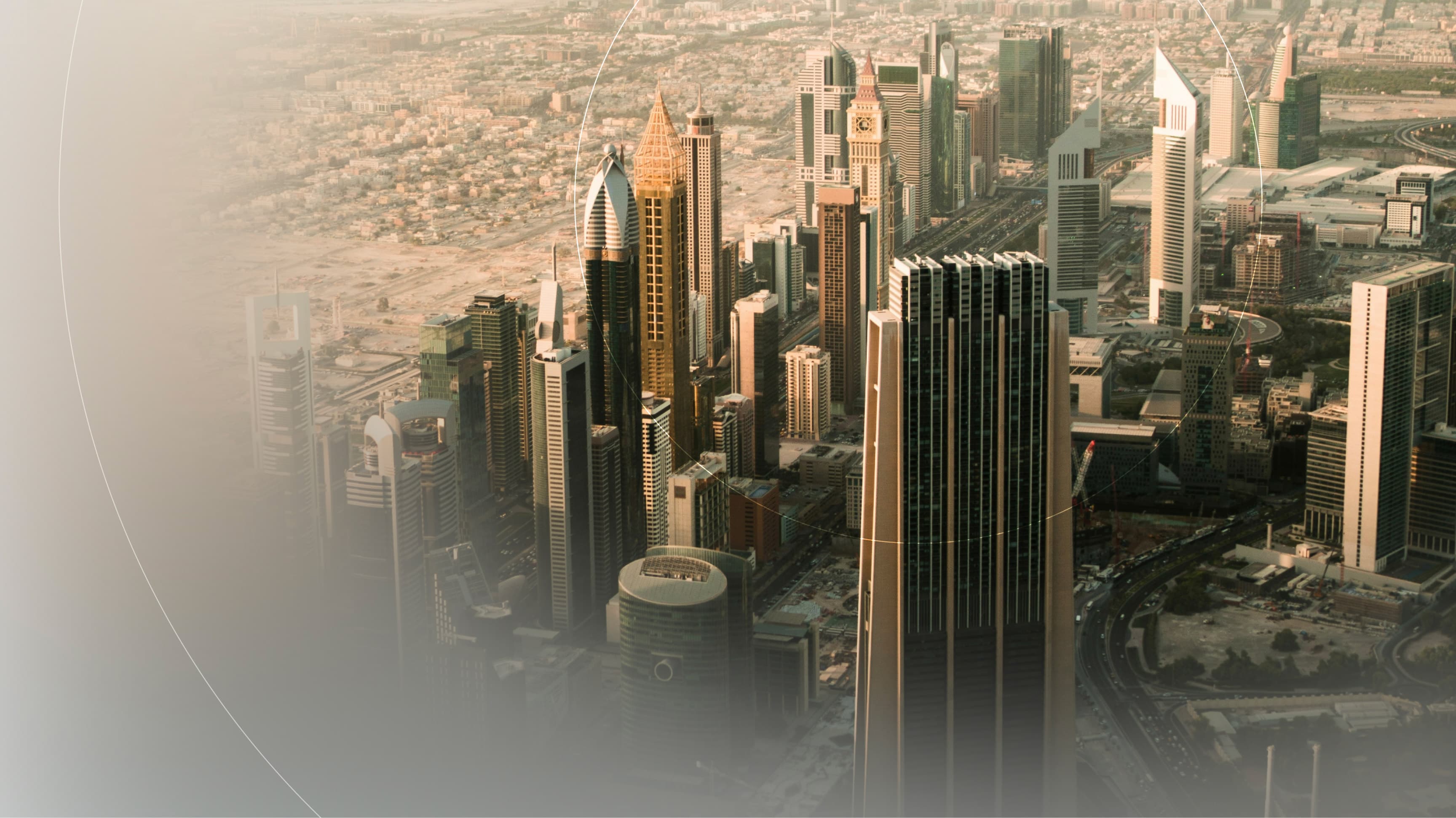 consulum-our-services-header.jpg